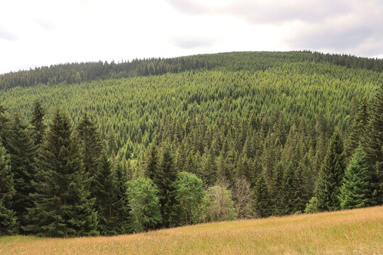 Sommer im Erzgebirge; Blick von der Alten Poststra&szlig;e &uuml;ber das P&ouml;hltal