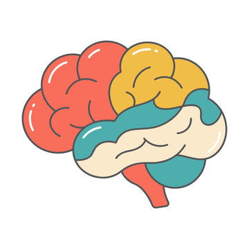 Human Brain Organ Vector Illustration Flat Cartoon Design