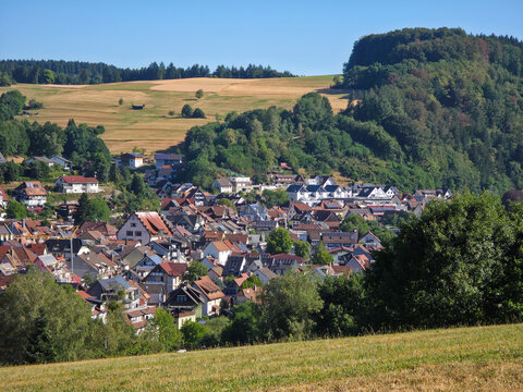 germany, picturesque aerial perspective above elzach village homes framed by vibrant meadows forests and idyllic black forest scenery