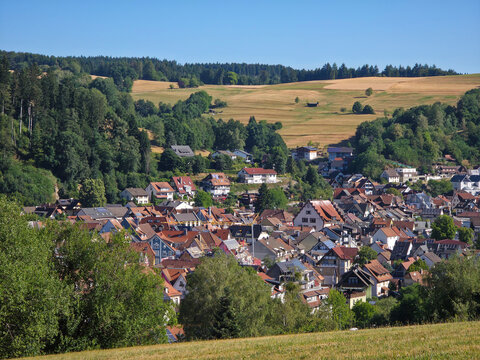 germany, charming aerial view above elzach village rooftops surrounded by lush forests green meadows and rolling black forest countryside