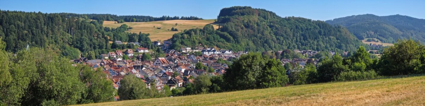 germany, magnificent xxl panoramic aerial view across elzach village rooftops with forests fields and green meadows under crystal blue sky