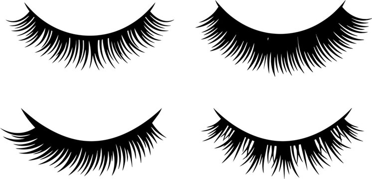 Elegant long black lashes vector for beauty salon branding