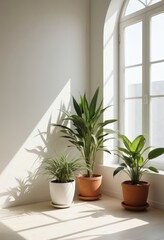 Fototapeta premium Green potted houseplants in sunny minimalist room interior generative AI