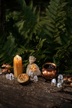 witch items - cauldron, candle, moon amulet, witch bag, crystals in forest, dark natural background. occult ceremony. esoteric spiritual ritual. practical magic. witchcraft. fairytale, mystery mood