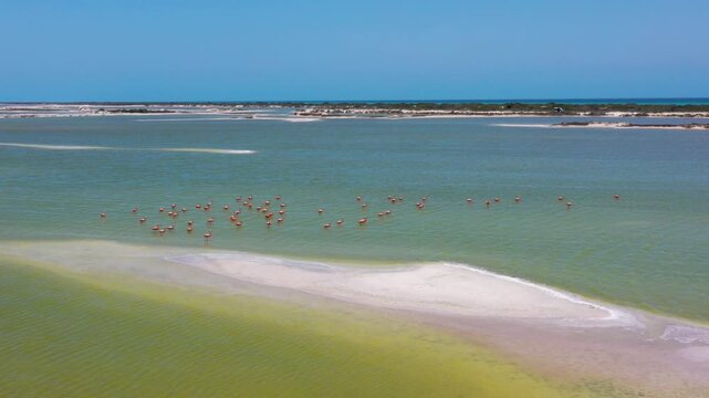 Aerial view of a serene turquoise lagoon with sandbars
