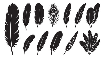 Black feather silhouette collection, set of 12 bird feather vector icons, decorative peacock and eagle plumage elements for graphic design isolated on White Background © Ali