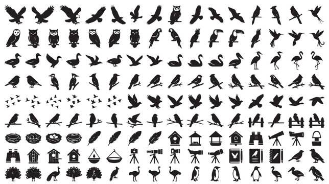 Bird silhouette icons mega set, black avian wildlife symbols and ornithology elements, 160 vector bird species and nature gear graphics isolated on White Background