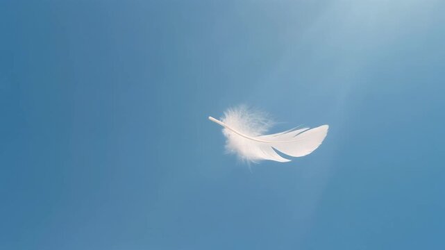 Clean Air, Blue Skies are beautifully represented by a single white feather drifting peacefully through a bright and clear atmosphere in cinematic slow motion