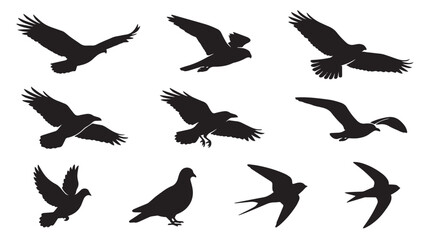Naklejka premium Black bird silhouettes collection, set of 10 flying eagle and hawk vector shapes, wild raven and pigeon icons for nature design isolated on White Background