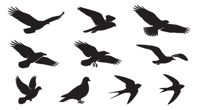Black bird silhouettes collection, set of 10 flying eagle and hawk vector shapes, wild raven and pigeon icons for nature design isolated on White Background