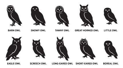 Obraz premium Minimalist owl silhouette icons, set of 10 bird species vector illustrations, black barn and eagle owl graphics for nature branding and educational design isolated on White Background