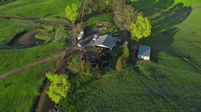 Aerial view of a rustic farm surrounded by lush green fields