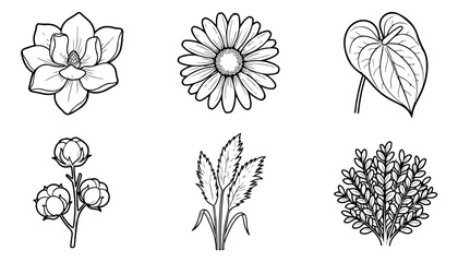 Minimalist botanical line art collection, 6 floral vector icons with magnolia and daisy, black and white hand drawn flower sketches for wedding stationery © Rehman