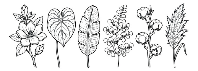 Hand drawn botanical line art collection, black and white floral vector set with magnolia and cotton bolls, elegant tropical leaf sketches for wedding stationery © Rehman