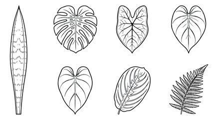 Minimalist tropical leaf line art set, black and white botanical vector illustrations, 7 exotic plant foliage icons for modern branding and logo design © Rehman