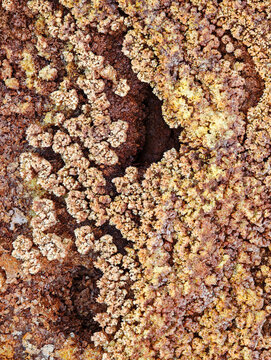 Detail view at Danakil Salt Lake on Dallol depression, Ethiopia