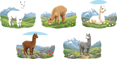 Realistic alpaca and llama vector illustration set grazing in beautiful andes mountain valley landscape pastures for agricultural and travel commercial marketing graphics © NaomiRani