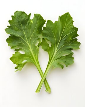 mustard leaf pair natural vegetable isolated on white background