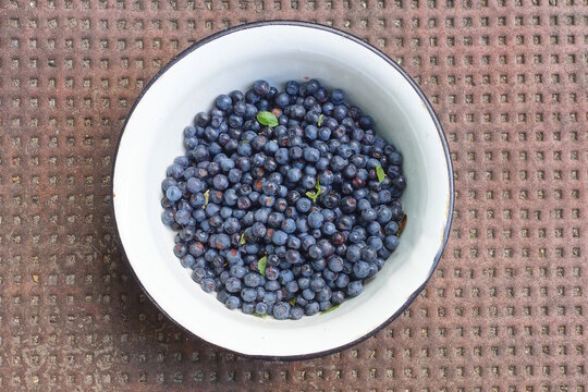 ripe fresh blueberries in a white plate with a brown table