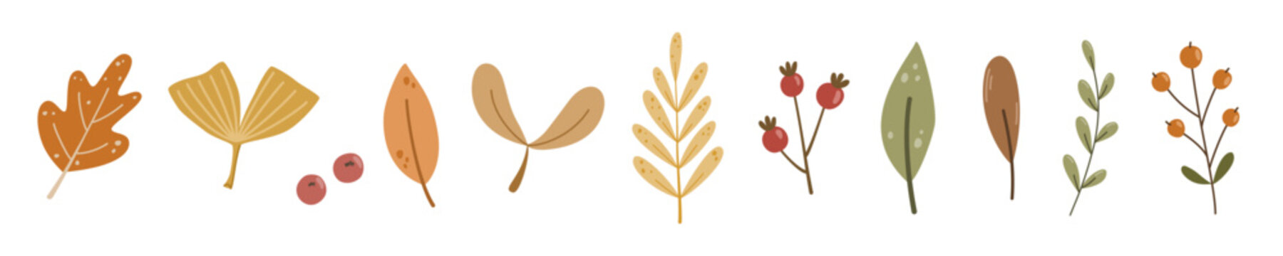 Autumn leaves set vector featuring oak, ginkgo biloba, maple seeds, berries, and botanical branches design. Naive hand-drawn doodle clipart