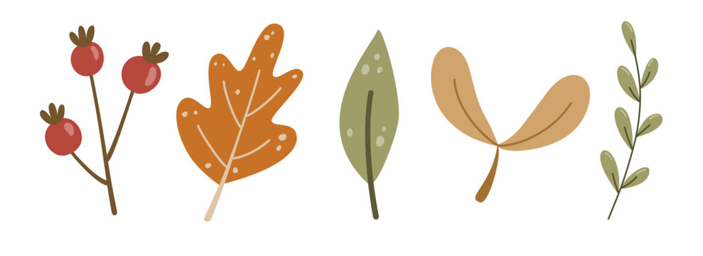 Autumn leaves set vector featuring rosehip berries, oak leaf, maple seeds, and botanical twigs. Naive hand-drawn doodle clipart is perfect for fall packaging, fabric, and modern stationery.