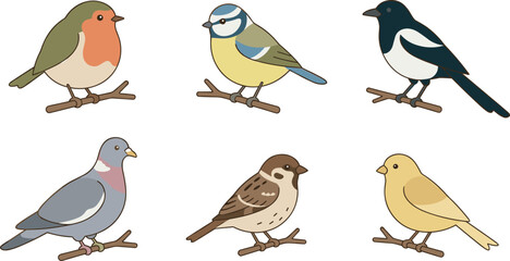 Set of realistic garden birds including robin, blue tit, magpie, pigeon, sparrow and canary perched on branch vector illustration collection © MstLaily