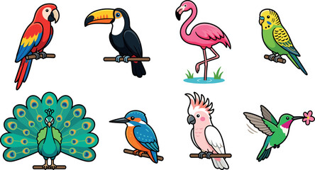Set of colorful exotic tropical birds including macaw, toucan, flamingo, peacock and hummingbird flat vector illustration collection © MstLaily