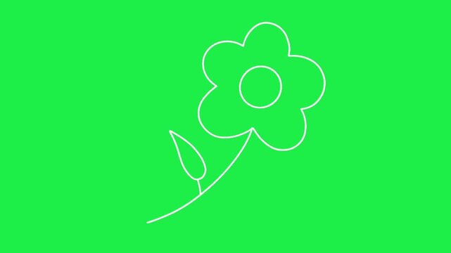 white line art flower with stem and leaf vector illustration on green screen background for chroma key video editing