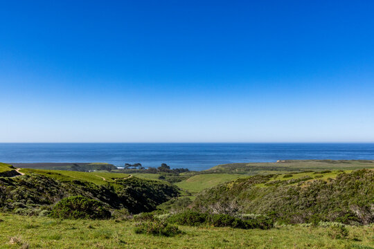 Green coast and calm sea