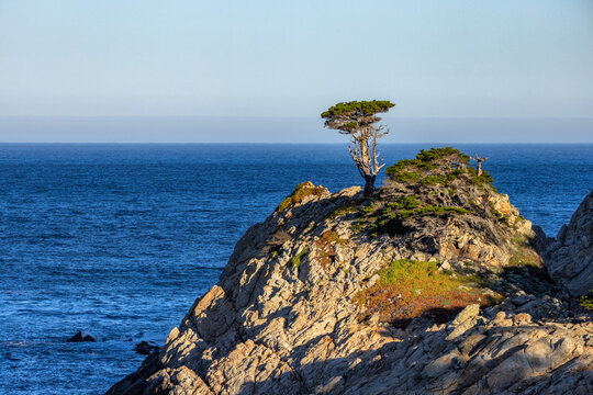 Rocky coast at Point Lobos State Natural Reserve