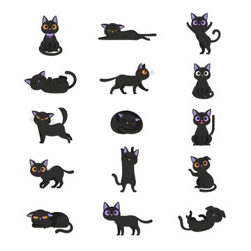 Elegant Black Cat Collection