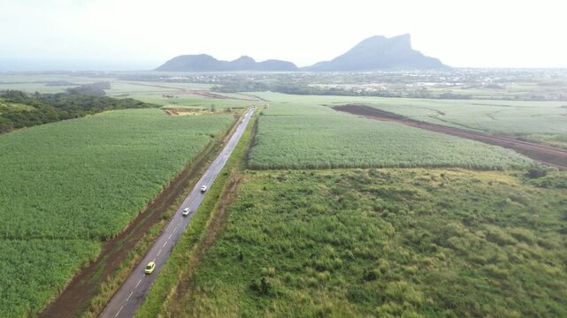 Aerial drone perspective tracking over lush sugarcane fields in Flic en Flac, Mauritius, featuring the prominent volcanic cone of Montagne du Rempart