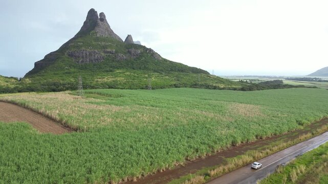 Aerial drone footage tracking over vast green sugarcane fields in Flic en Flac, Mauritius, with the iconic volcanic peak of Montagne du Rempart rising majestically in the background.