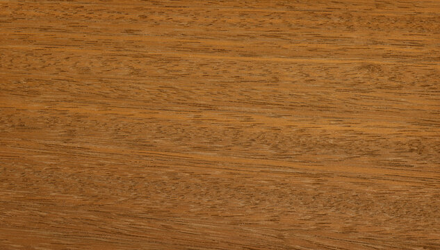 Iroko wood timber natural grain texture