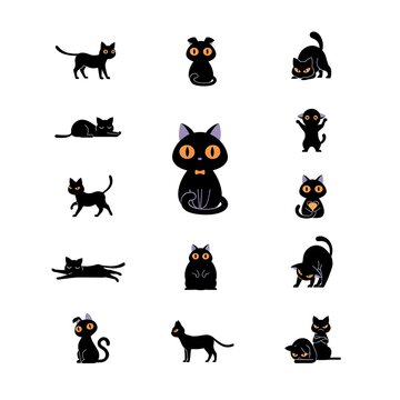 Charming Black Cat Ensemble