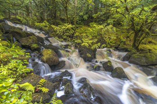 Long exposure of fast flowing river in forest, Isle of Mull, Scotland