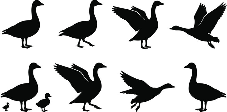 Set of black silhouettes of geese in various poses including standing walking flying and with goslings
