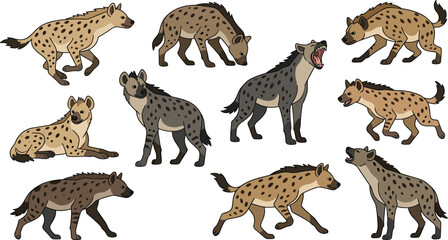 Spotted hyena collection featuring African wildlife, scavenger mammals, laughing hyenas, safari predators, and wild animal poses vector illustration set © sumi