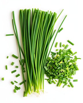 chives cut stems isolated on white background