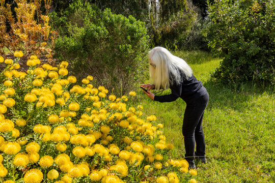 Senior blonde woman photographing flowers with smart phone