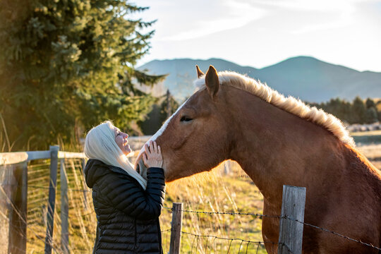 Senior blonde woman petting draft horse