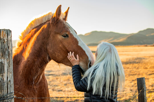 Senior blonde woman petting draft horse