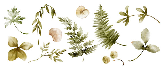 Watercolor botanical flower clipart set: autumn botanical elements, green forest ferns, and eucalyptus leaves. © WatercolorDigitalArt