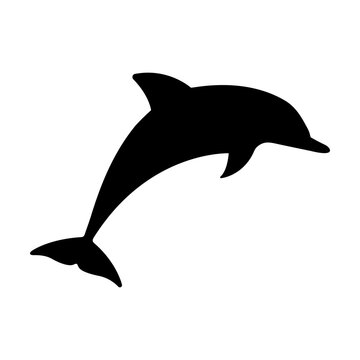 Dolphin svg cut file. Isolated vector illustration.