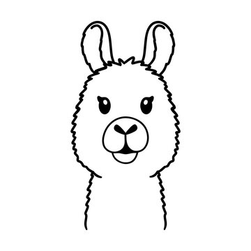 Cute lama svg cut file. Isolated vector illustration.