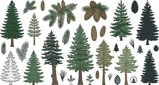 Large Vector Collection of Vintage Hand Drawn Pine Trees Detailed Conifer Branches Spruce Pinecones and Evergreen Silhouettes for Alpine Outdoor Adventure Branding