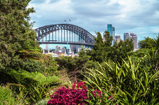 Sydney Harbour Bridge and Luna Park from Wendy Whiteley&rsquo;s Secret Garden