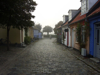 Fototapeta premium Cottage, cobblestone street and village, travel and neighborhood in Denmark with landscape or background. Traditional, town and tourism with road, property or houses, architecture and countryside