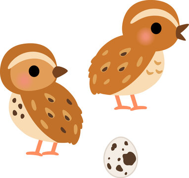 ウズラとウズラの卵のデフォルメイラスト