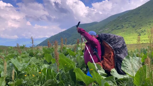 Man hiking through dense alpine vegetation in the Georgian Caucasus pushes past broad leaves while carrying expedition gear, supporting adventure tourism, trail safety